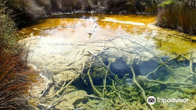Tokaanu Thermal Pools