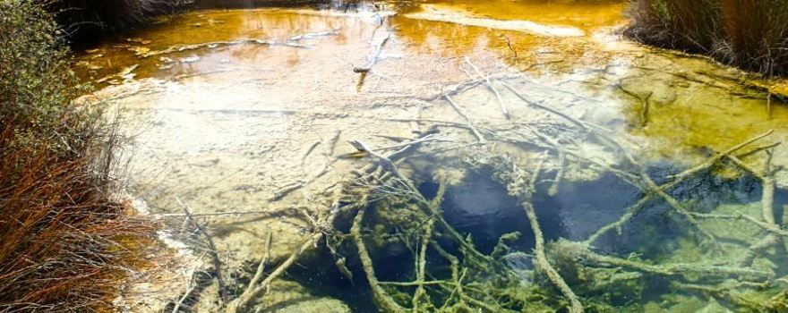 Tokaanu Thermal Pools