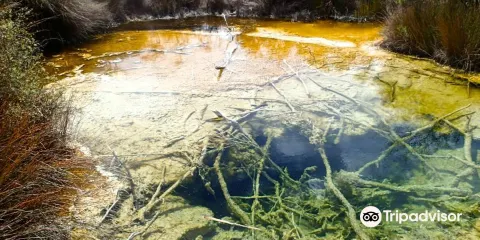 Tokaanu Thermal Pools