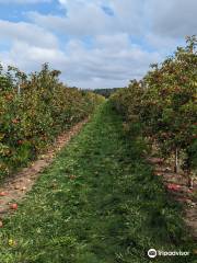 Barthel Fruit Farm