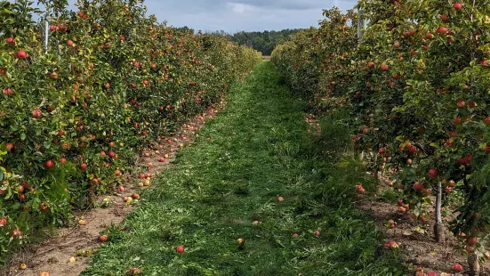 Barthel Fruit Farm