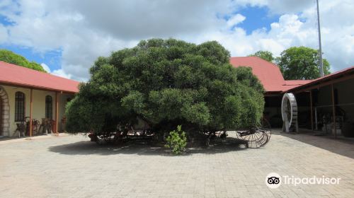 Alte Fort Museum