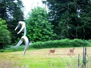 San Juan Islands Sculpture Park & Nature Reserve