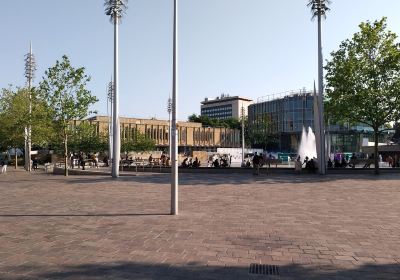 Centenary Square