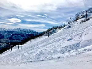 イオックス・アローザ