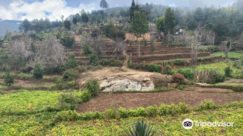 Usambara Mountains