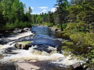 Parc de la Rivière-du-Moulin