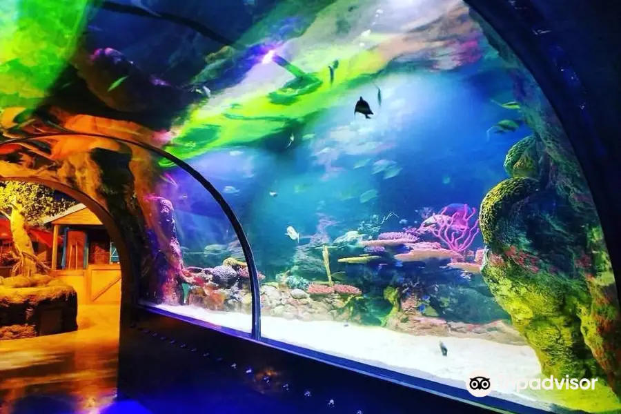 Shreveport Aquarium