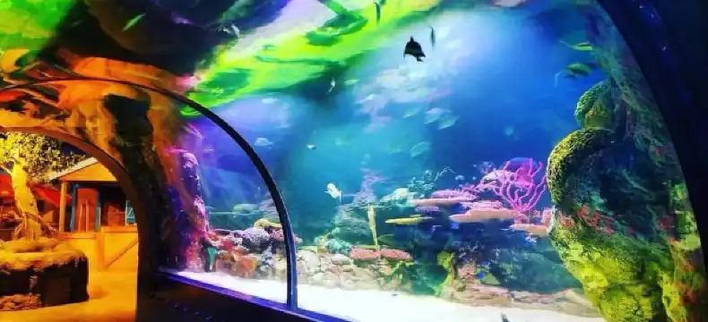 Hotels in Bossier City