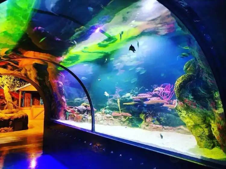 Hotels in Bossier City