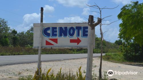 Cenote Carwash
