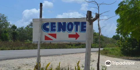 Cenote Carwash