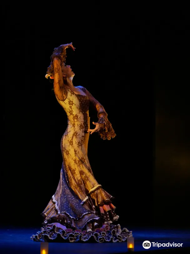 3_Teatro Flamenco Madrid