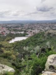 El Charco del Ingenio Jardín Botánico y Área Natural Protegida