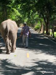 Huai Sai Wildlife Breeding Center