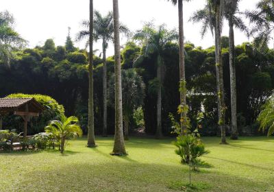 Francisco Javier Clavijero Botanical Garden