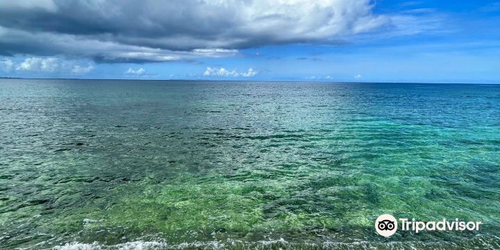 Miyagi Coast