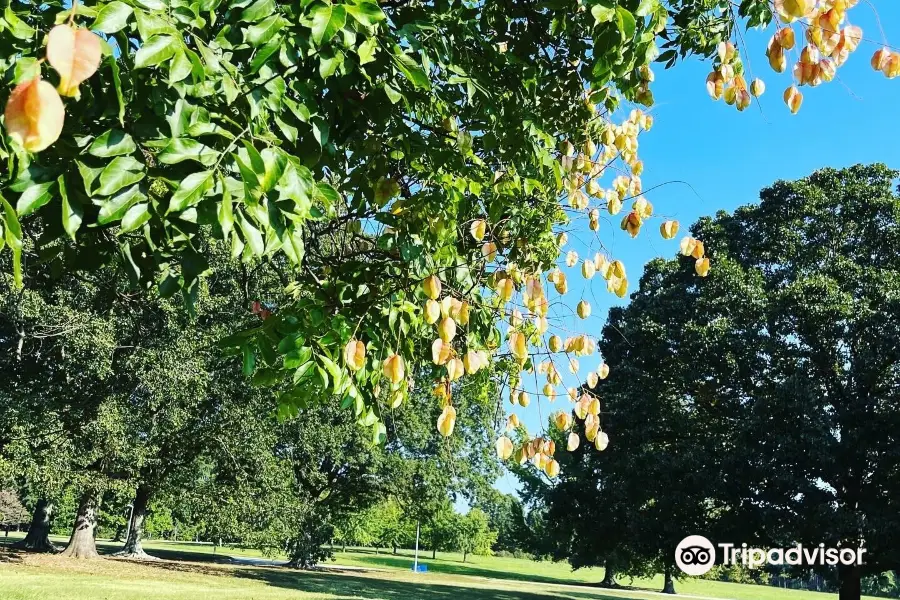 Milliken Arboretum