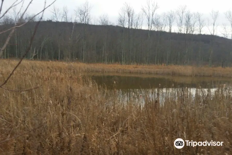 Goosepond Mountain State Park