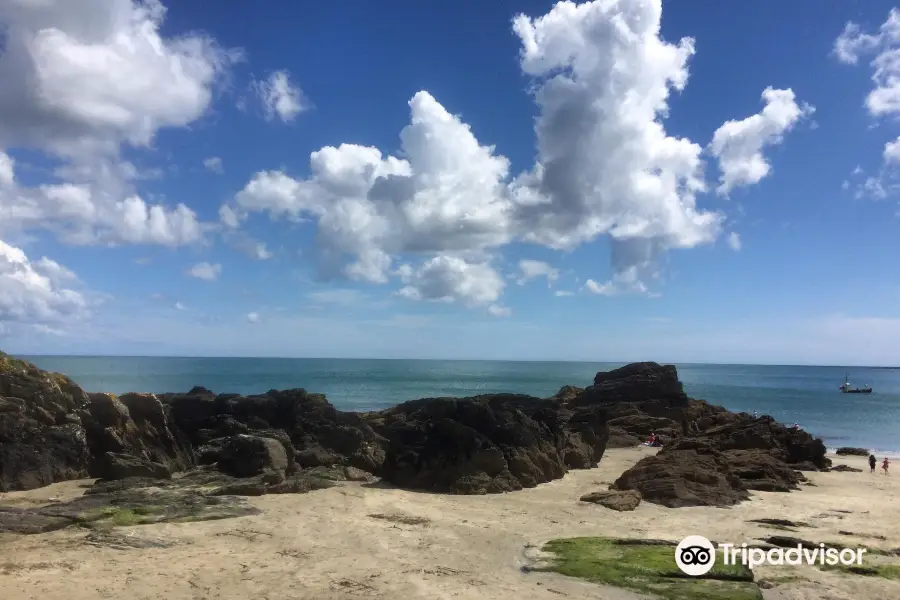 East Looe Beach