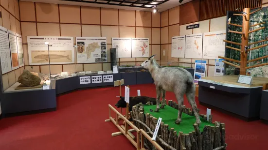 Yajima Local Museum