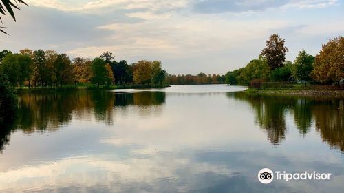 Olgin Pond