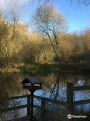 Daneshill Lakes