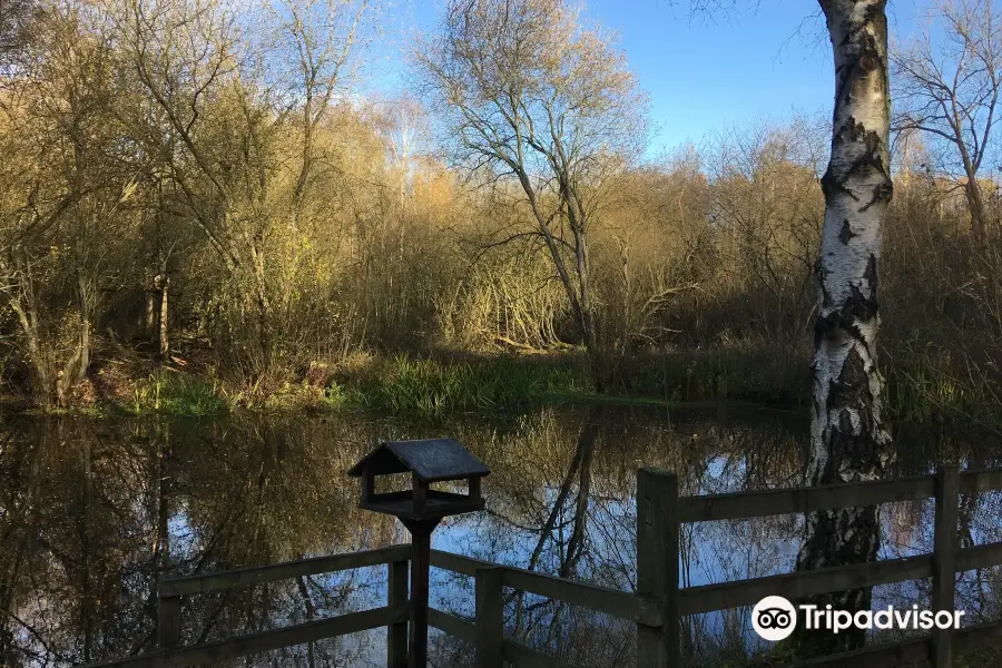 Daneshill Lakes