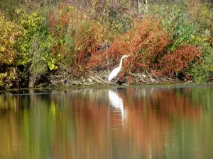 Holiday Beach Conservation Area