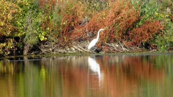 Holiday Beach Conservation Area