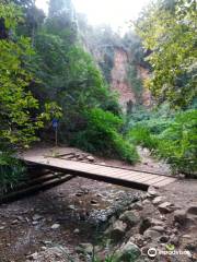 El Torrent de Colobrers