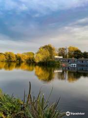 Brooklands Lake