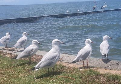 Breakwater Park