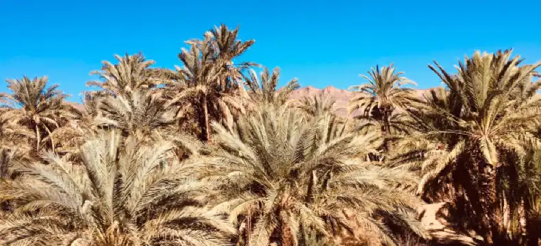 Hotels in Zagora
