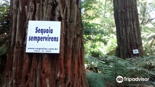 Parque das Sequoias