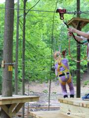 TreeRunner Adventure Park Raleigh