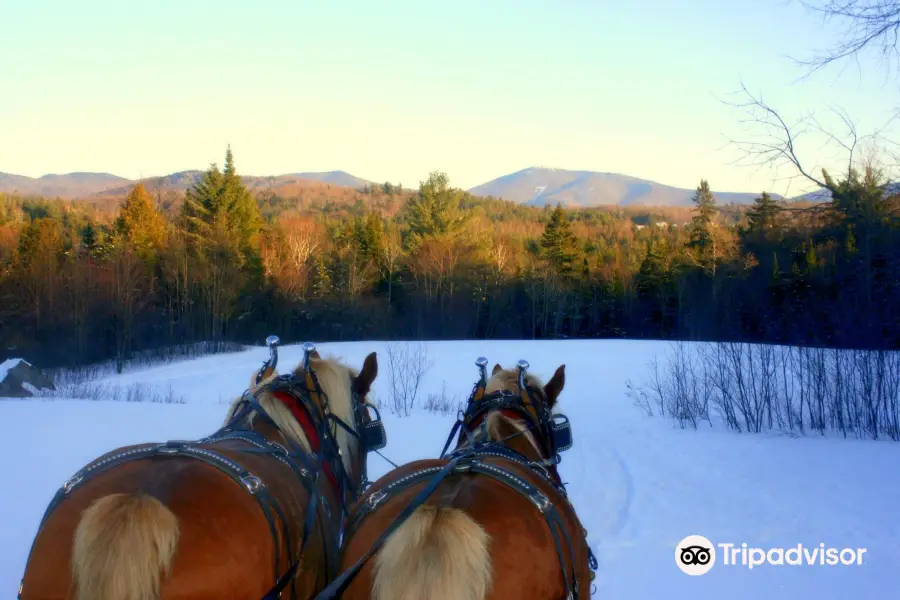 Country Dreams Farm Opening Hours, Reviews & Photos [2024]