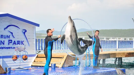 Bodrum Dolphin Park