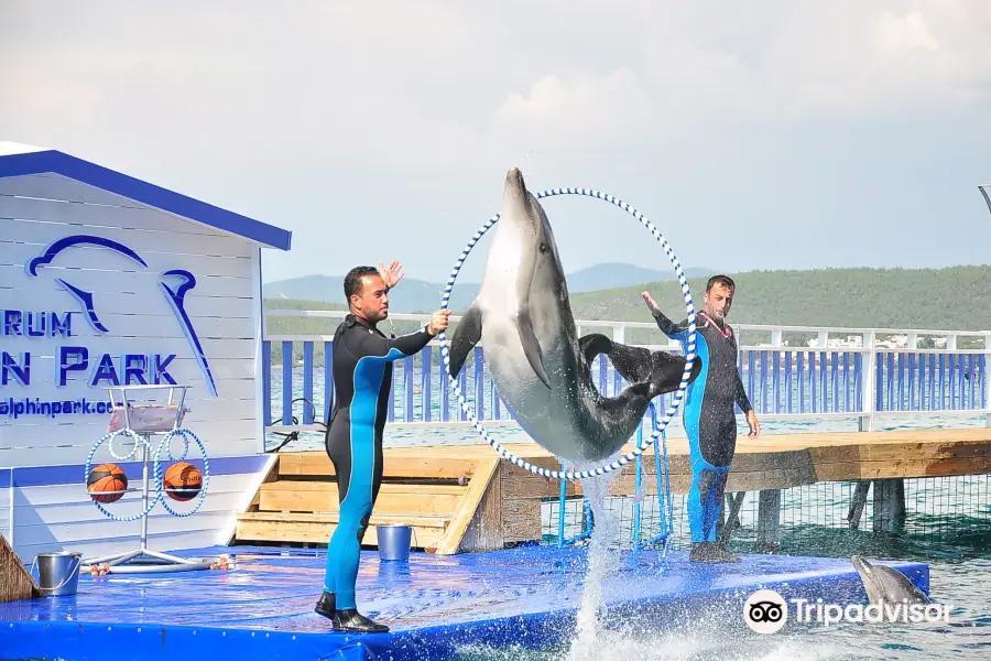 Bodrum Dolphin Park