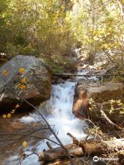 Seven Bridges Trail