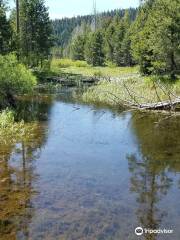 Burton Creek State Park