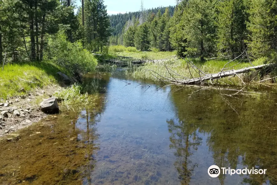 Burton Creek State Park