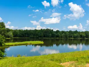 Charlie Elliott Wildlife Center