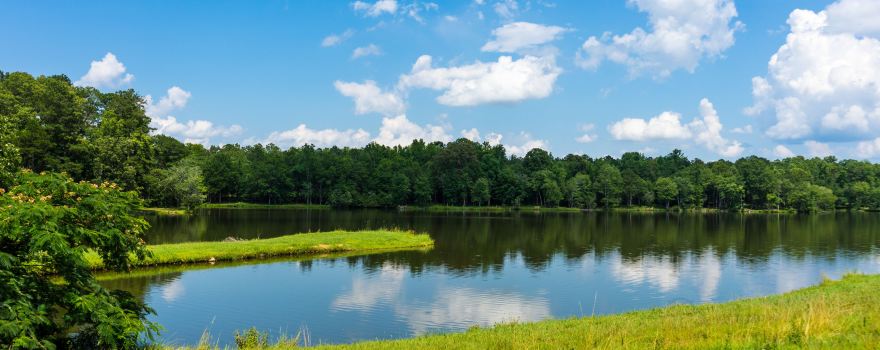 Charlie Elliott Wildlife Center