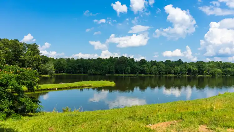 Hotels in Jasper County