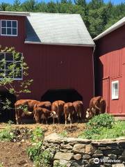 Wells Hollow Creamery