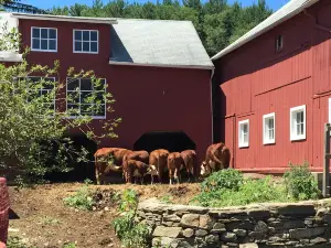 Wells Hollow Creamery