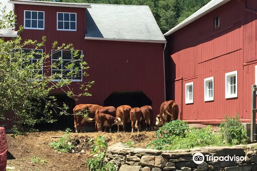 Wells Hollow Creamery