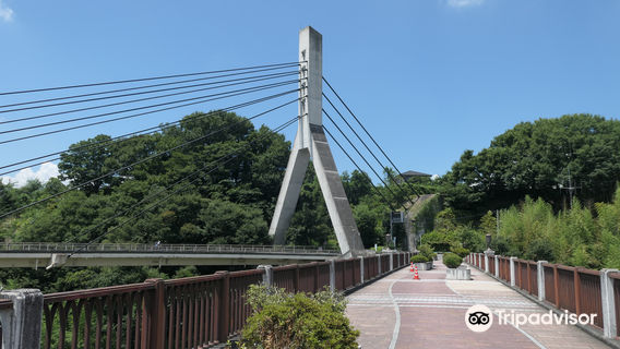 Chichibu Bridge