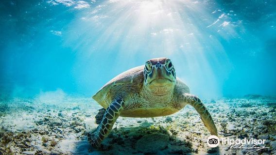 Santa Maria Dive Center